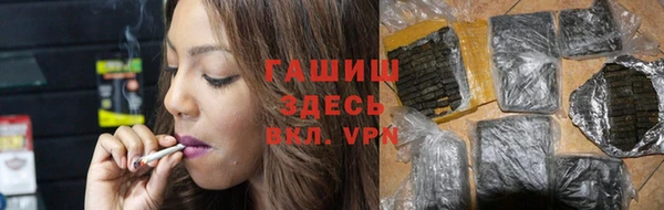 индика Надым