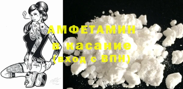 индика Надым