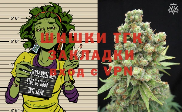 индика Надым