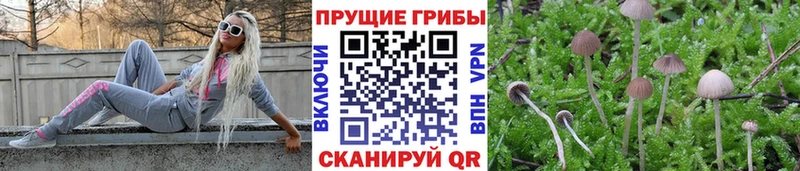 Псилоцибиновые грибы прущие грибы  купить   Микунь 